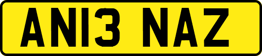 AN13NAZ
