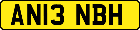 AN13NBH