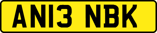 AN13NBK