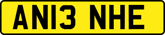 AN13NHE