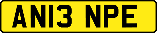 AN13NPE