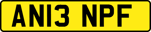 AN13NPF