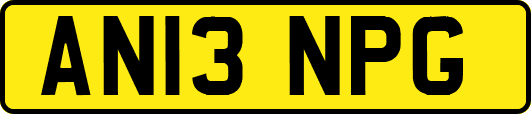 AN13NPG