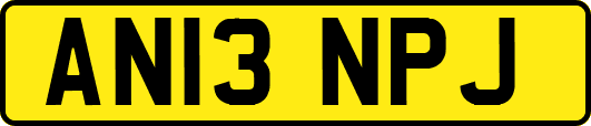 AN13NPJ