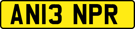 AN13NPR