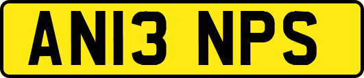AN13NPS