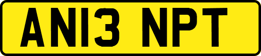 AN13NPT