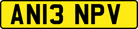 AN13NPV