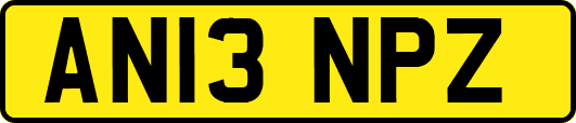 AN13NPZ