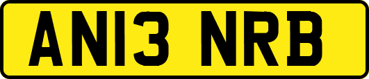 AN13NRB