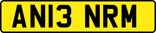 AN13NRM