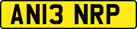 AN13NRP