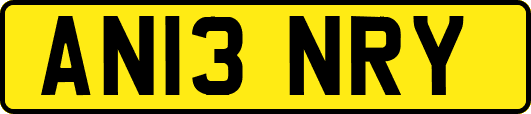 AN13NRY