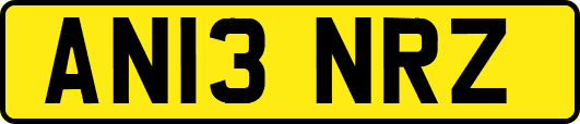 AN13NRZ