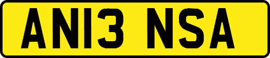 AN13NSA