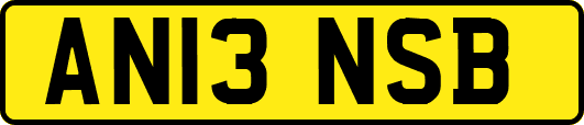 AN13NSB