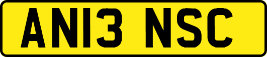 AN13NSC