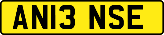 AN13NSE