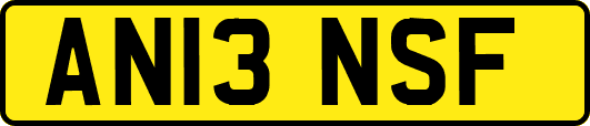 AN13NSF