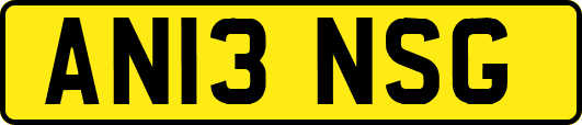 AN13NSG
