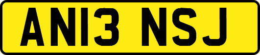 AN13NSJ