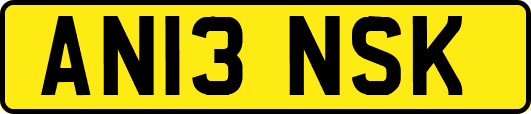 AN13NSK