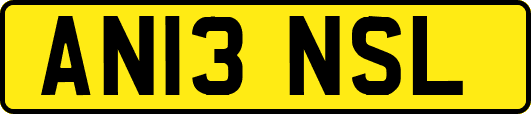 AN13NSL