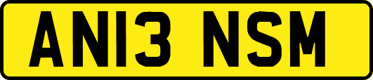 AN13NSM