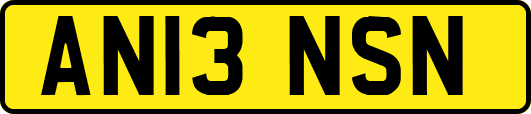 AN13NSN