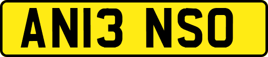AN13NSO