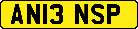 AN13NSP