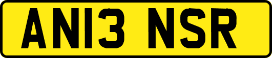 AN13NSR