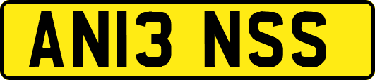 AN13NSS
