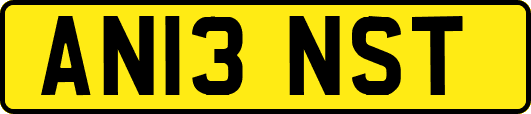 AN13NST