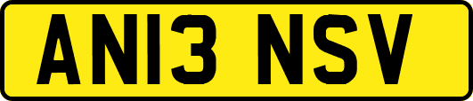 AN13NSV