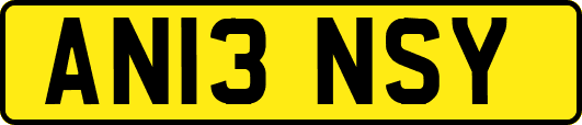 AN13NSY