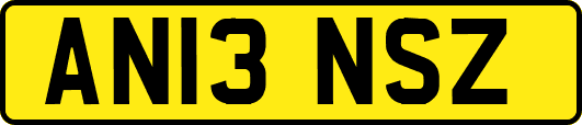 AN13NSZ