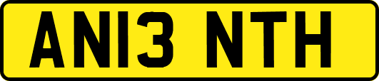 AN13NTH