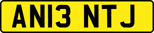 AN13NTJ