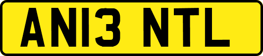 AN13NTL