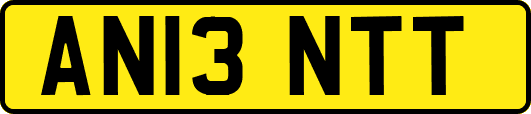 AN13NTT