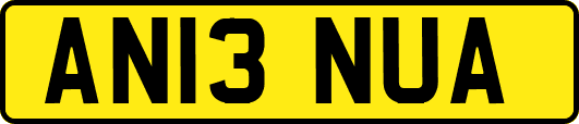 AN13NUA