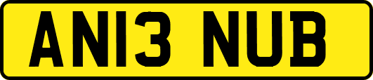 AN13NUB