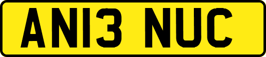 AN13NUC
