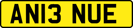 AN13NUE