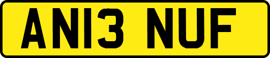 AN13NUF