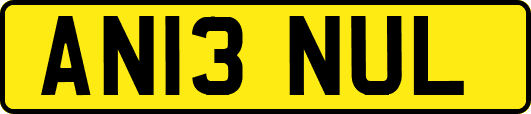 AN13NUL