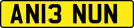 AN13NUN