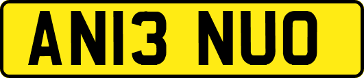 AN13NUO