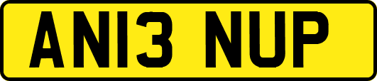 AN13NUP